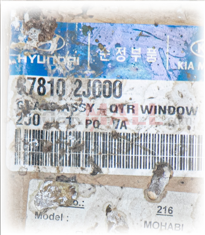 لچکی عقب چپ موهاوی